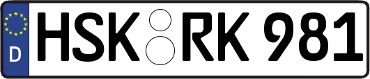 HSK-RK981