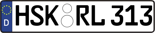 HSK-RL313