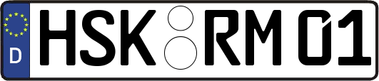HSK-RM01