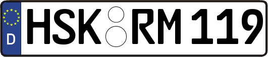 HSK-RM119