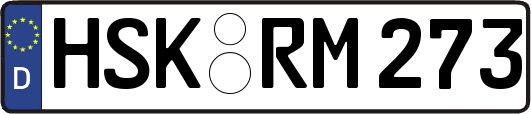 HSK-RM273