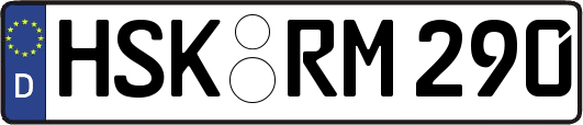 HSK-RM290