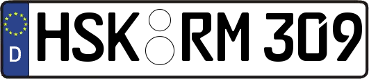 HSK-RM309