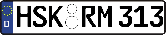 HSK-RM313