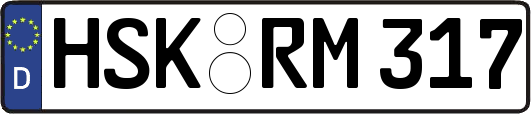 HSK-RM317