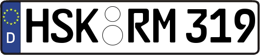HSK-RM319