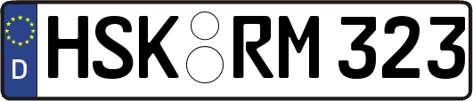 HSK-RM323