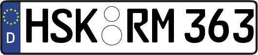 HSK-RM363