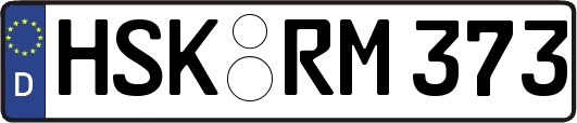 HSK-RM373