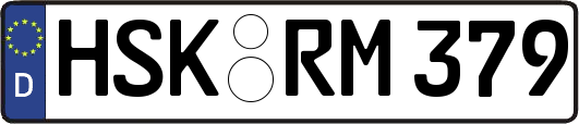 HSK-RM379