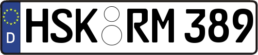 HSK-RM389