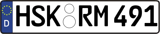 HSK-RM491