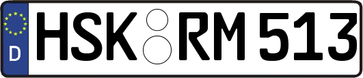 HSK-RM513