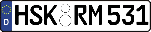 HSK-RM531