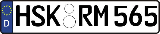 HSK-RM565