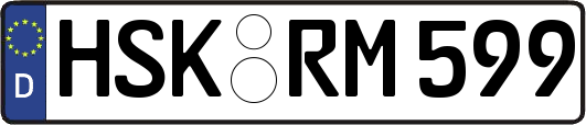 HSK-RM599
