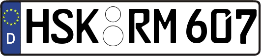 HSK-RM607