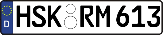 HSK-RM613