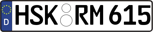 HSK-RM615