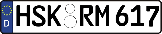 HSK-RM617