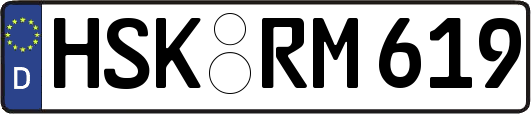 HSK-RM619