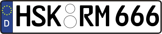 HSK-RM666