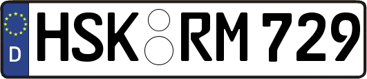 HSK-RM729