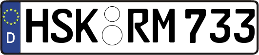 HSK-RM733