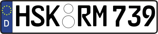 HSK-RM739