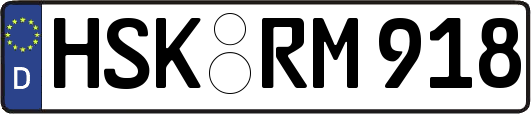 HSK-RM918