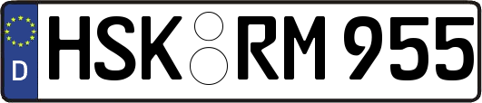 HSK-RM955