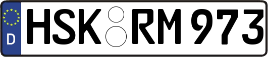 HSK-RM973