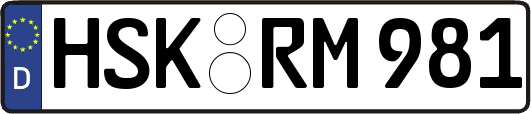 HSK-RM981