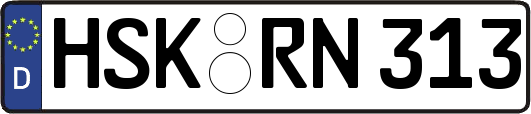HSK-RN313