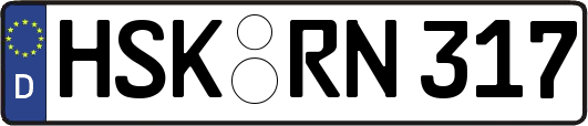 HSK-RN317
