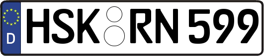 HSK-RN599