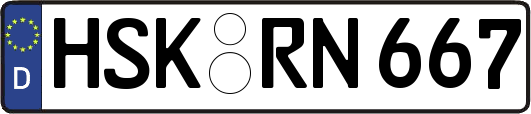 HSK-RN667