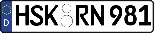 HSK-RN981