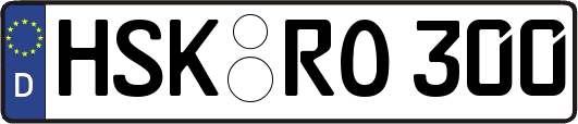 HSK-RO300