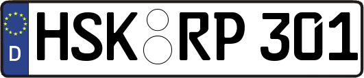 HSK-RP301