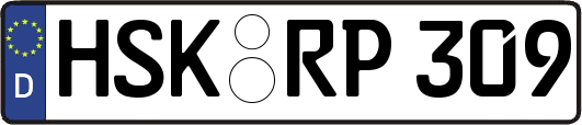 HSK-RP309