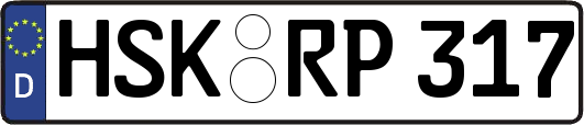 HSK-RP317