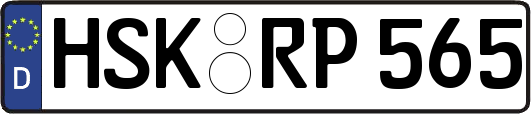 HSK-RP565