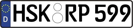 HSK-RP599