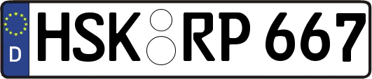 HSK-RP667