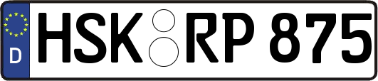 HSK-RP875
