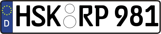 HSK-RP981