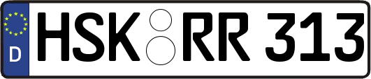 HSK-RR313