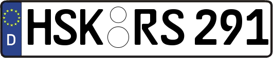 HSK-RS291
