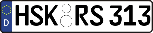 HSK-RS313